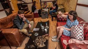 Последние твиты от the coffee shop cat (@coffeeshopcat). Are Cat Cafes Good For Cats Bbc News