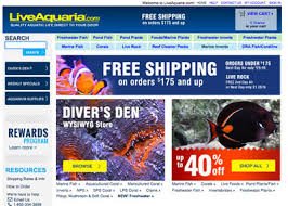 Buying Saltwater Fish And Corals Online Saltwater Aquarium