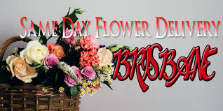 We deliver flowers same day throughout toowong, qld area and all our deliveries are. The 10 Best Options For Same Day Flower Delivery In Brisbane 2021