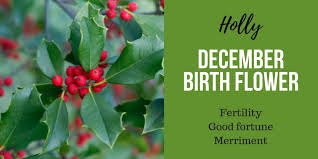 Discover Your Birth Flower Interflora Birth Flowers Birth Month Flowers December Birth Flower