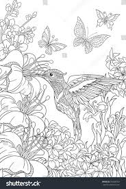 Coloring Page Of Hummingbird Butterflies And Hibiscus Flowers Freehand Sketch Drawing For A Animal Coloring Pages Bird Coloring Pages Detailed Coloring Pages