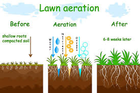 52 inch (1.3 metre) high handle. Paul Munns Blog Maintenance Category Lawn Coring