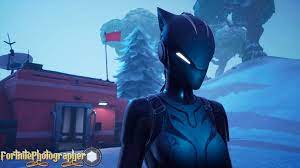 Everybody Has Their Dark Side Finally Got Her You Guys Have It Already Too Lynx Set 01 4 4 Fnphootographer On Twitter F Epic Art Lynx Fortnite