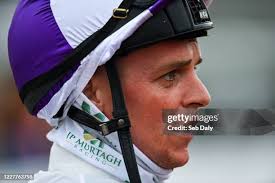 188 Kelly Boyle Stock Photos, High-Res Pictures, and Images