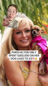 Paris The Dog and Her Owner