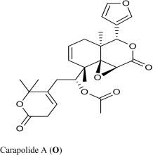 Image result for Voacanga pachyceras