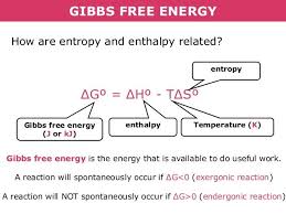 Gibbs Free Energy How Are Entropy And Enthalpy Related G