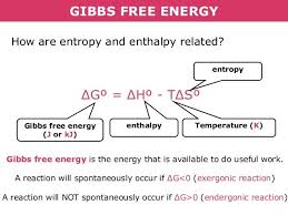 gibbs free energy how are entropy and enthalpy related g