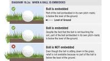Image result