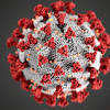 Story image for Coronavirus COVID-19 from Clarksville Online
