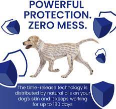 Buy Shieldtec Flea And Tick Collar For Dogs 12 Weeks Of Age Or Older One Size Fits All 6 Months Protection Online In Netherlands B07t9wsqdk