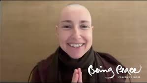 Interview with Plum Village UK Dharma Teacher Michael Schwammberger