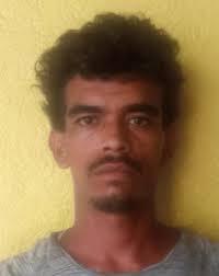 Noticas Estereo Amor