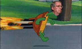 The best gifs of mitch mcconnell on the gifer website. Mitch Mcconnel Turtle Gifs Tenor
