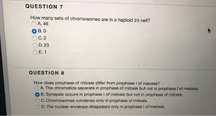 Different organisms have different numbers of chromosomes; Question 7 How Many Sets Of Chromosomes Are In A Chegg Com