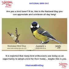 Bird Bird Bird Is The Word Song National Bird Day January 5 National Day Calendar National Day Calendar Bird National