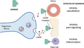 Image result for Gepant