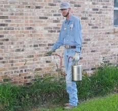 Bat control, bird control, pest control in bryan texas, rodent control, rodent control in bryan station, rodent control in college station, wall pests. Pest Control In League City Tx Mike S Pest Control