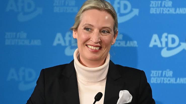 Wirtschaft - AfD-Chefin Weidel bezeichnet Trumps Zollpolitik als "viel zu  aggressiv"