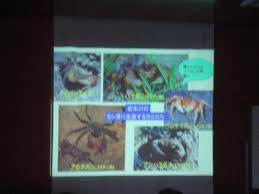 Inserted By Fc2 System