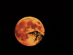 Deux siècles plus tard, en 1865, jules verne publie de la terre à la lune. C Est Quoi La Lune Rousse