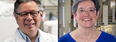 SCI faculty evaluate new micromagnetic device for precision neuromodulation 