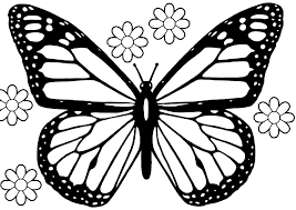 Blue is the one of the color in rainbow. Https Printcolorcraft Com Wp Content Uploads 2015 10 Monarch Butterfly Coloring Pages With Simple Butterfly Coloring Page Butterfly Printable Coloring Pages