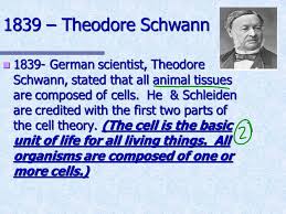 • questioning the cell theory using atypical examples. The Cell Theory The Cell Theory Some Random Cell Facts The Average Human Being Is Composed Of Around 100 Trillion Individual Cells The Average Human Ppt Download
