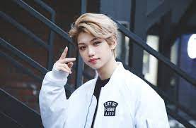 From breaking news and entertainment to sports and politics, get the full story with all the live commentary. Img Stray Kids Felix Desktop 750x492 Download Hd Wallpaper Wallpapertip