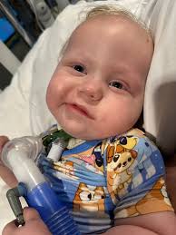 Prayers for brave bear's cancer testing