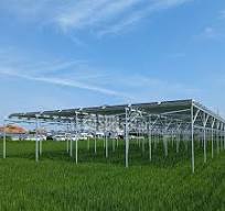 Supply Agricultural Solar farm Mounting System Wholesale ...