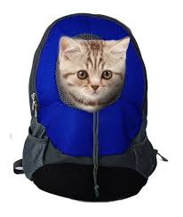 Unfollow cat backpack carrier large to stop getting updates on your ebay feed. The 25 Best Cat Backpacks Of 2020 Cat Life Today