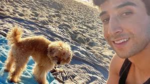 Fundraiser by Ruben Vernier : Help Poof the Dog After Being Attacked