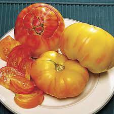 Check spelling or type a new query. Pineapple Tomato Seeds Park Seed
