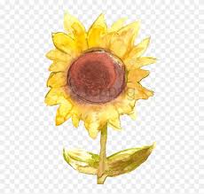 We did not find results for: Free Png Sunflower Png Tumblr Png Image With Transparent Portable Network Graphics Png Download 480x744 4507426 Pngfind