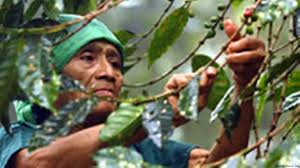 Microcréditos en Honduras: “¿recuerda el huracán Mitch?”