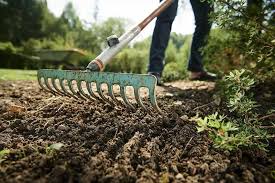 15 Different Types Of Rakes And Their Uses Trees Com