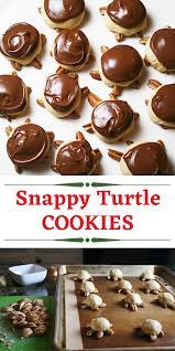 Snappy Turtle Cookies Recipe Holiday Baking Recipes Easy Holiday Baking Dessert For Dinner