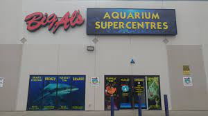 We carry over 400 different species of fish, imported from all over the world including asia, africa, south america, and central america. Edmonton