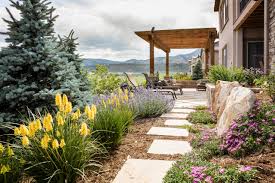 Some of these you may call 'native' plants. 75 Beautiful Drought Tolerant Landscaping Design Ideas Pictures Houzz