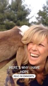 WARNING I’m not selling anything here — except HOPE. , 𝐈 𝐤𝐧𝐨𝐰 𝐇𝐎𝐏𝐄  𝐢𝐬𝐧’𝐭 𝐭𝐫𝐞𝐧𝐝𝐢𝐧𝐠 𝐫𝐢𝐠𝐡𝐭 𝐧𝐨𝐰, 𝐛𝐮𝐭 𝐈’𝐯𝐞 𝐧𝐞𝐯𝐞𝐫  𝐛𝐞𝐞𝐧 𝐭𝐫𝐞𝐧𝐝𝐲. ❤️⁠, ⁠, As an engaged citizen and an animal  advocate, I see enough cruelty ...