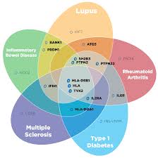 One of the functions of the immune system is to protect the body by responding to invading microorganisms, such as viruses or bacteria, by producing antibodies or. Mystery Of Multiple Autoimmune Diseases Benaroya Research Institute