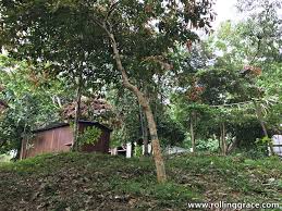 Start checking them out and you'll be out on the trail in no time! Hiking At Bukit Kiara Taman Tun Dr Ismail Rolling Grace Your Travel Food Guide To Asia The World