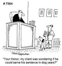 This i why lawyers are the subject of everyone's jokes. 900 Lawyer Cartoons Ideas In 2021 Lawyer Jokes Legal Humor Lawyer Humor