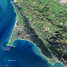 Where Tectonic Plates Go For A Swim