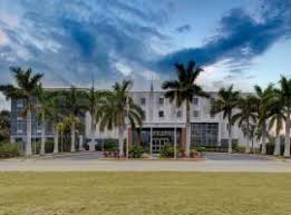 「"Аноним" "cat"」的圖片搜尋結果