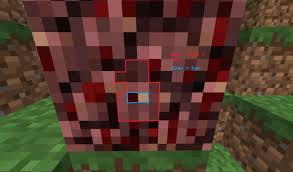 Hoto - Minecraft Steve Head Transparent Png Transparent With Clear  Background Id 260815 Png - Free Png Images | Minecraft Steve Head, Minecraft  Steve, Transparent Background