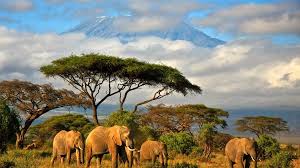 United republic of tanzania ˌtænzəˈniːə или tænˈzeɪniə. Tanzaniya