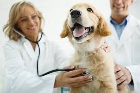 Click the set as my clinic button to set a location in your local pet supermarket. Animal Health Clinic Of Baton Rouge Compassionate Professional Veterinarians