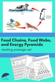 Are You Teaching Food Chains Food Webs Or Energy Pyramids To Upper Elementary Or Middle School Studen Food Web Reading Passages Science Reading Comprehension